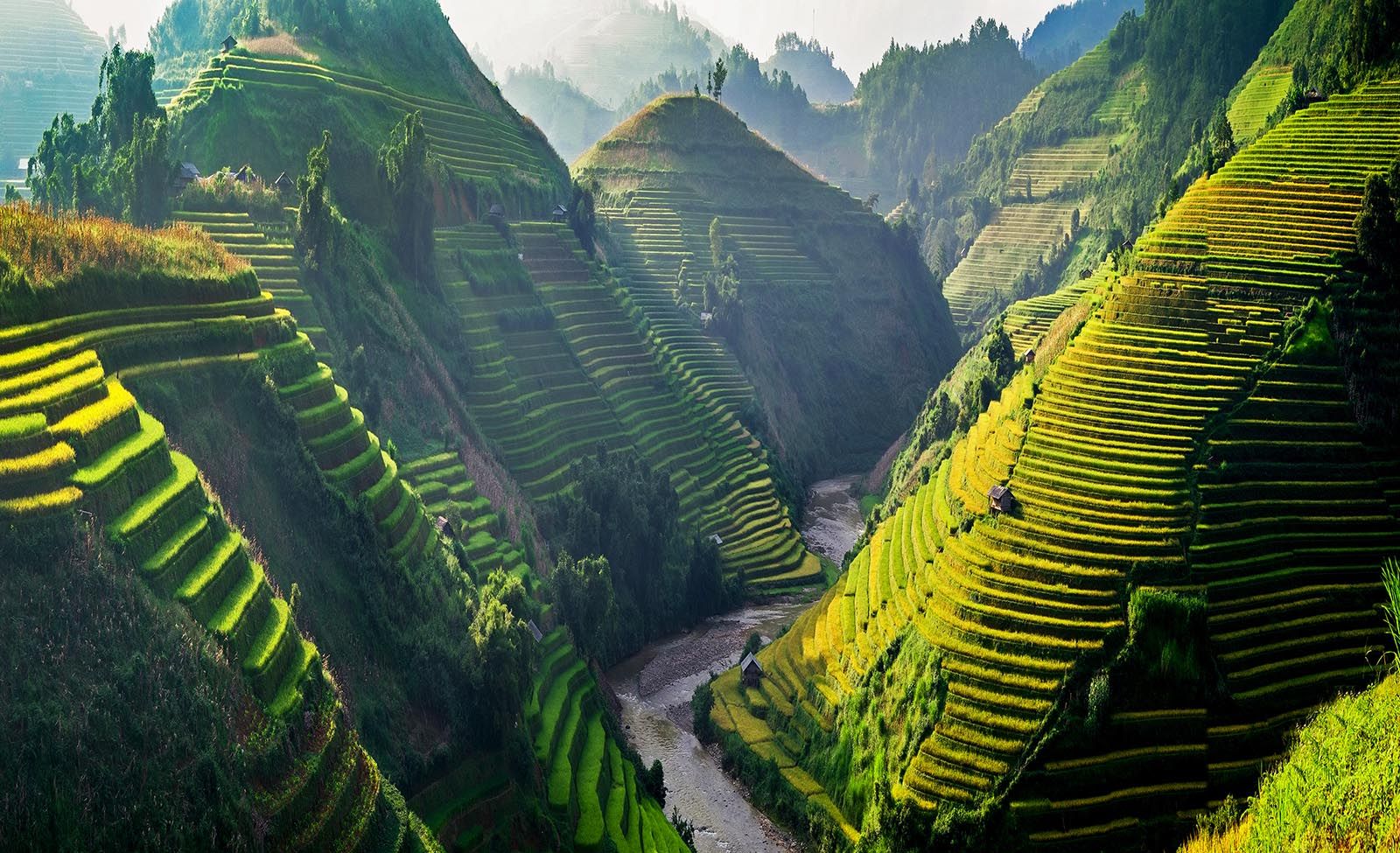 shutterstock_493953403.jpg