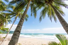Costa Rica, Playa Santa Teresa, sunset on the beach, surfers © Shutterstock